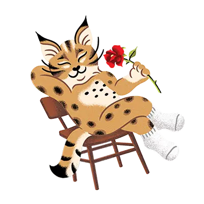 Reddy cat with rose